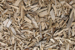 biomass boilers Cold Elm